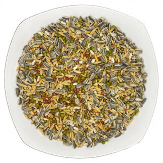 Sprouting Mix