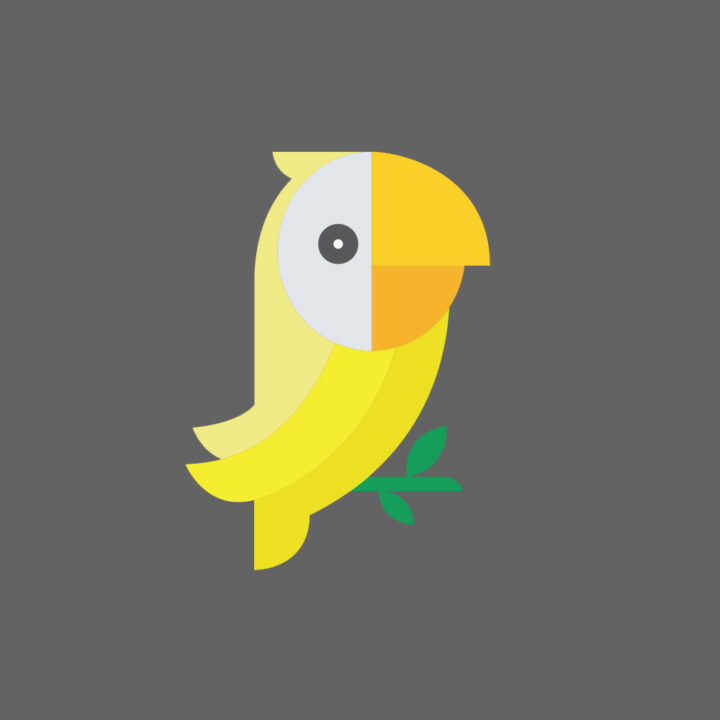 parrotstudios